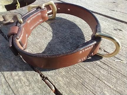 Leather dog collar with an additional dee ring
