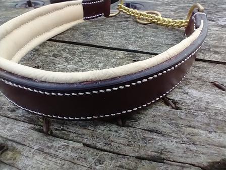 Padded leather martingale dog collar